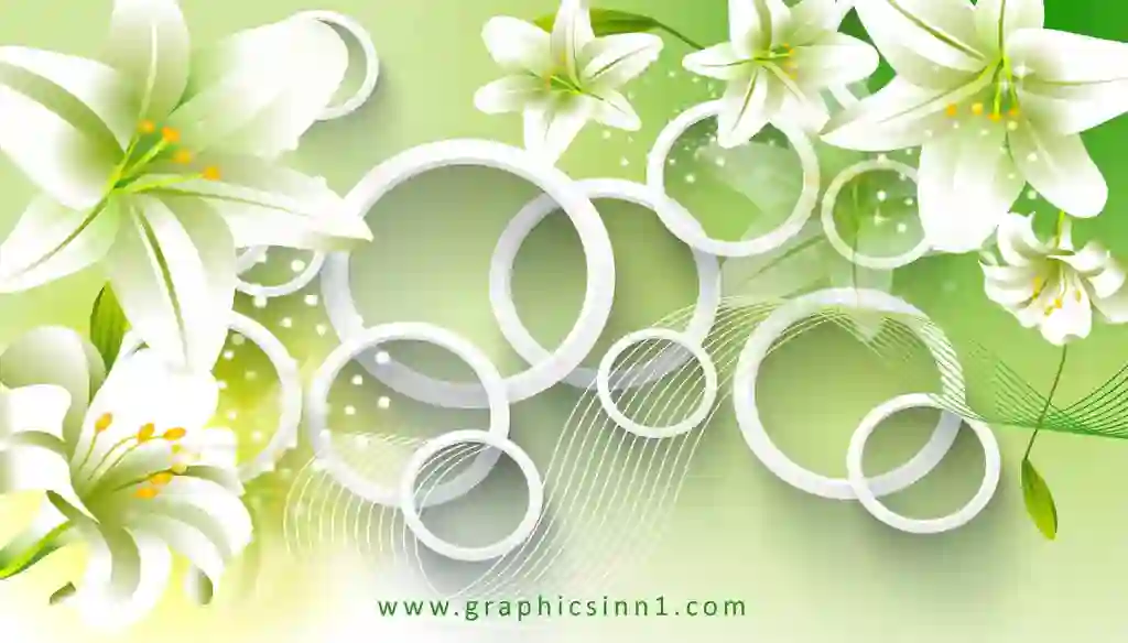 3D White Circles with Flowers Wallpaper Design 1 3D White Circles with Flowers Wallpaper Design
